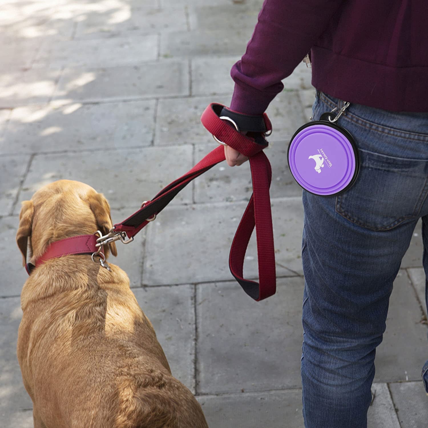 Collapsible Dog Bowls for Travel, 2-Pack Dog Portable Water Bowl for Dogs Cats Pet Foldable Feeding Watering Dish for Traveling Camping Walking with 2 Carabiners, BPA Free